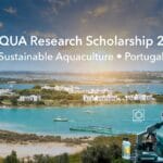 Unlock Your Research Career in Marine Sciences S2AQUA Research Scholarship 2026 in Portugal (€1,090.98 Monthly Stipend)