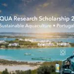 Unlock Your Research Career in Marine Sciences S2AQUA Research Scholarship 2026 in Portugal (€1,090.98 Monthly Stipend)