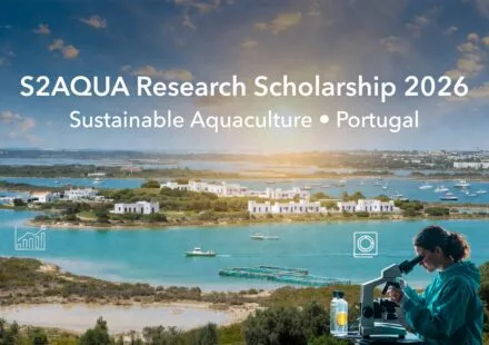 Unlock Your Research Career in Marine Sciences S2AQUA Research Scholarship 2026 in Portugal (€1,090.98 Monthly Stipend)